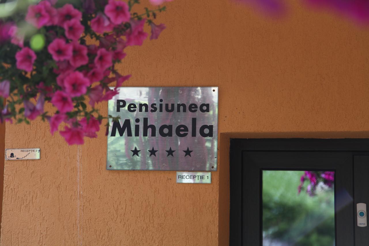 Pensiunea Mihaela Brassópojána Kültér fotó